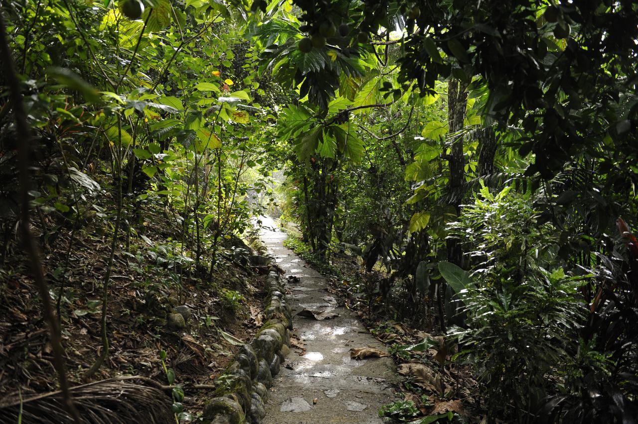Omega Tours Eco-Jungle Lodge لا سيبا المظهر الخارجي الصورة