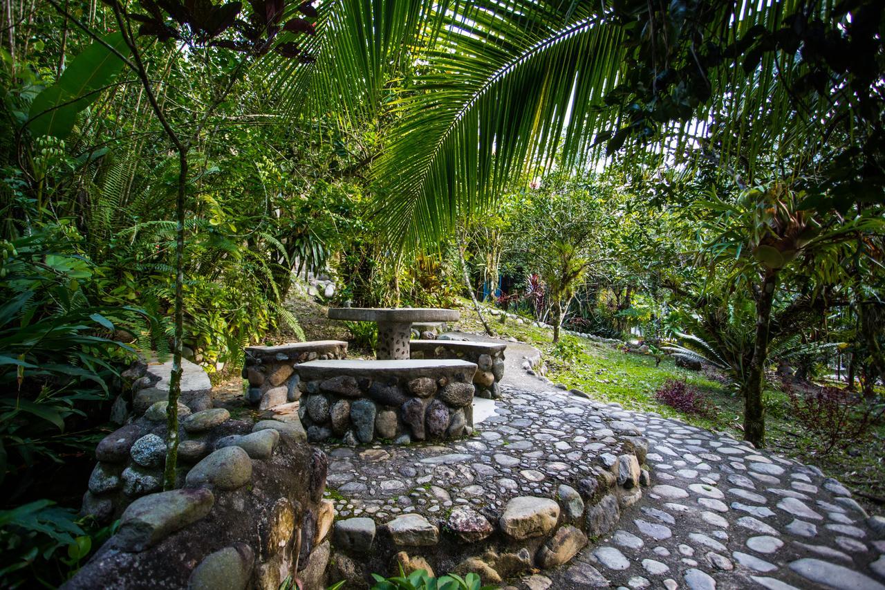 Omega Tours Eco-Jungle Lodge لا سيبا المظهر الخارجي الصورة