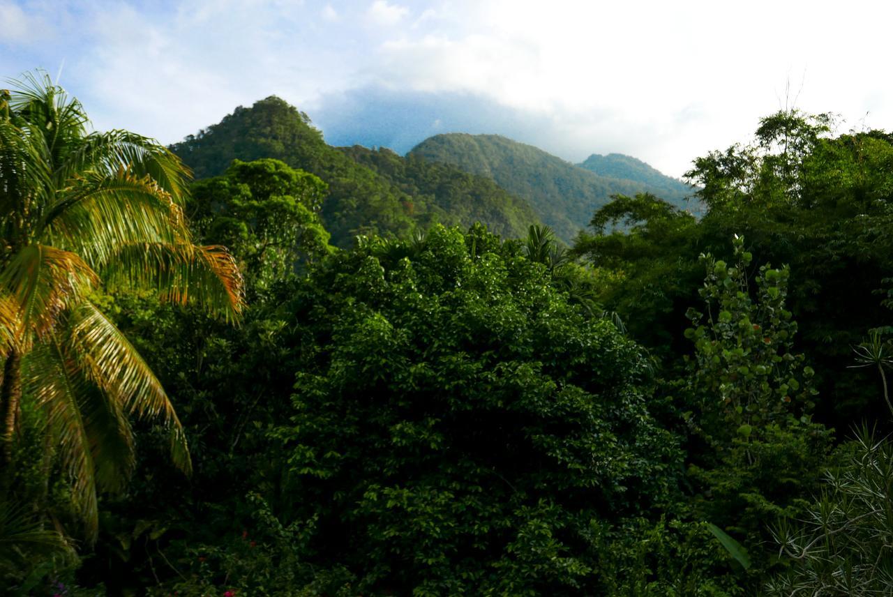 Omega Tours Eco-Jungle Lodge لا سيبا المظهر الخارجي الصورة